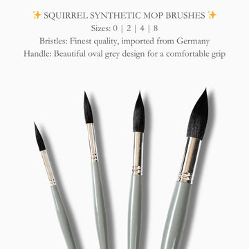 Stationerie Squirrel Synthetic Mop Set Of 4