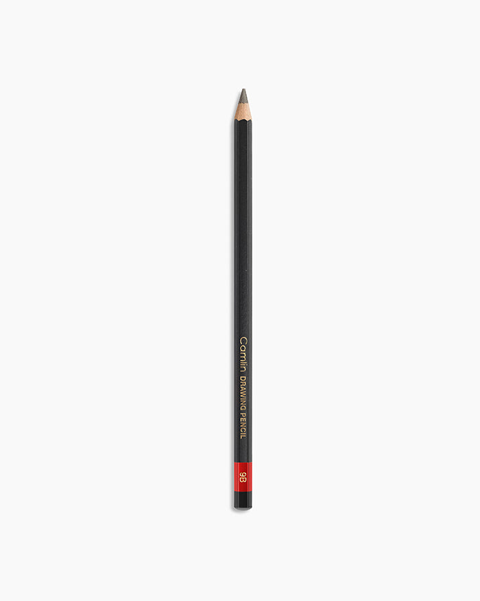 Camel Drawing  Pencils