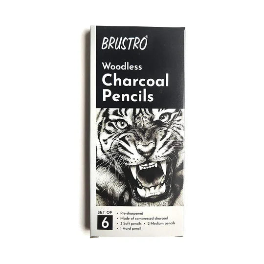 Brustro Woodless Charcoal Pencils Set Of 6