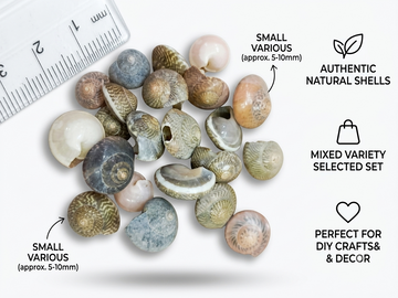 OCEAN ITEM C PACK OF 40 TO 50GM