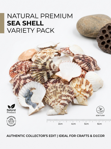OCEAN ITEM M PACK OF 40 TO 50GM
