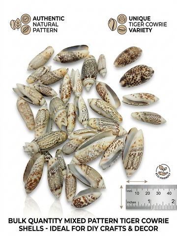 OCEAN ITEM L PACK OF 40 TO 50GM