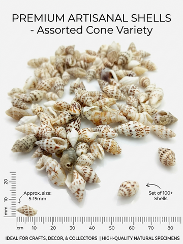 OCEAN ITEM B PACK OF 40 TO 50GM