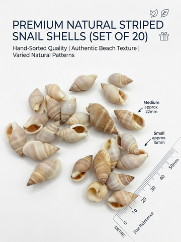 OCEAN ITEM F PACK OF 40 TO 50GM
