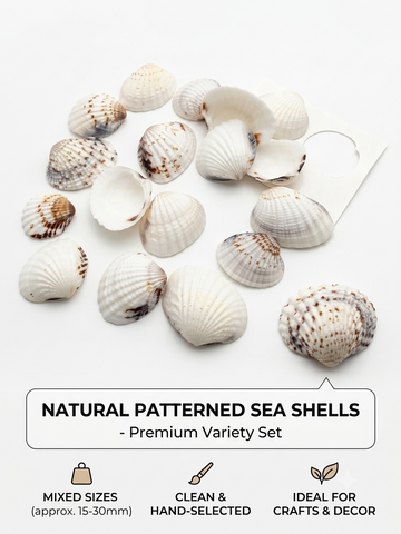 OCEAN ITEM O PACK OF 40 TO 50GM