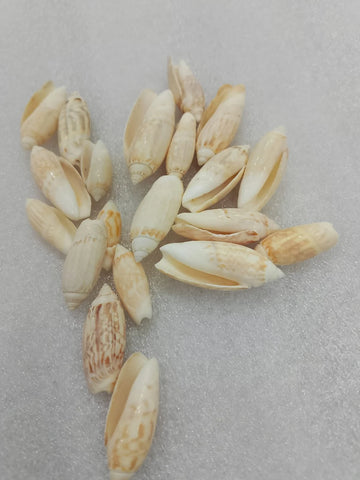 OCEAN ITEM H PACK OF 40 TO 50GM